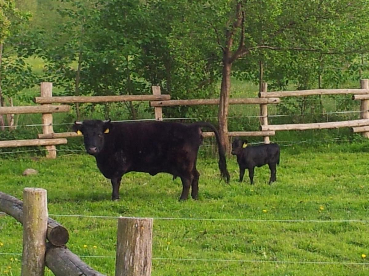 Doppelzimmer Im Spreewald Бург Екстер'єр фото